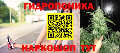 прущая мука Иваново