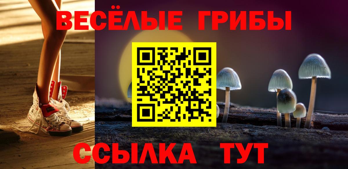 Псилоцибиновые грибы GOLDEN TEACHER  Вход с VPN  Нерюнгри  Псилоцибиновые грибы мухоморы 